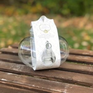 Glass Tea Kettle